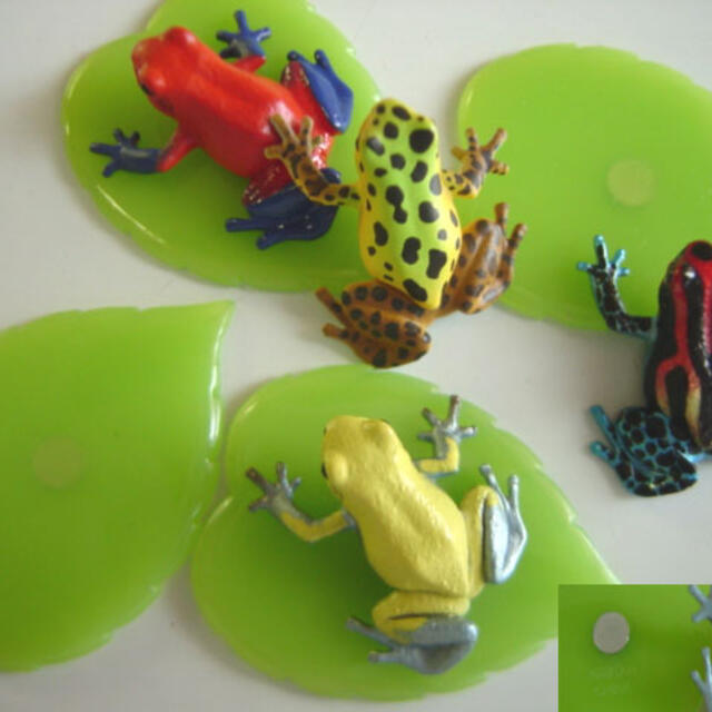 ♯Hoi26Ijネイチャーテクニカラーヤドクガエル1マグネット全8種の通販
