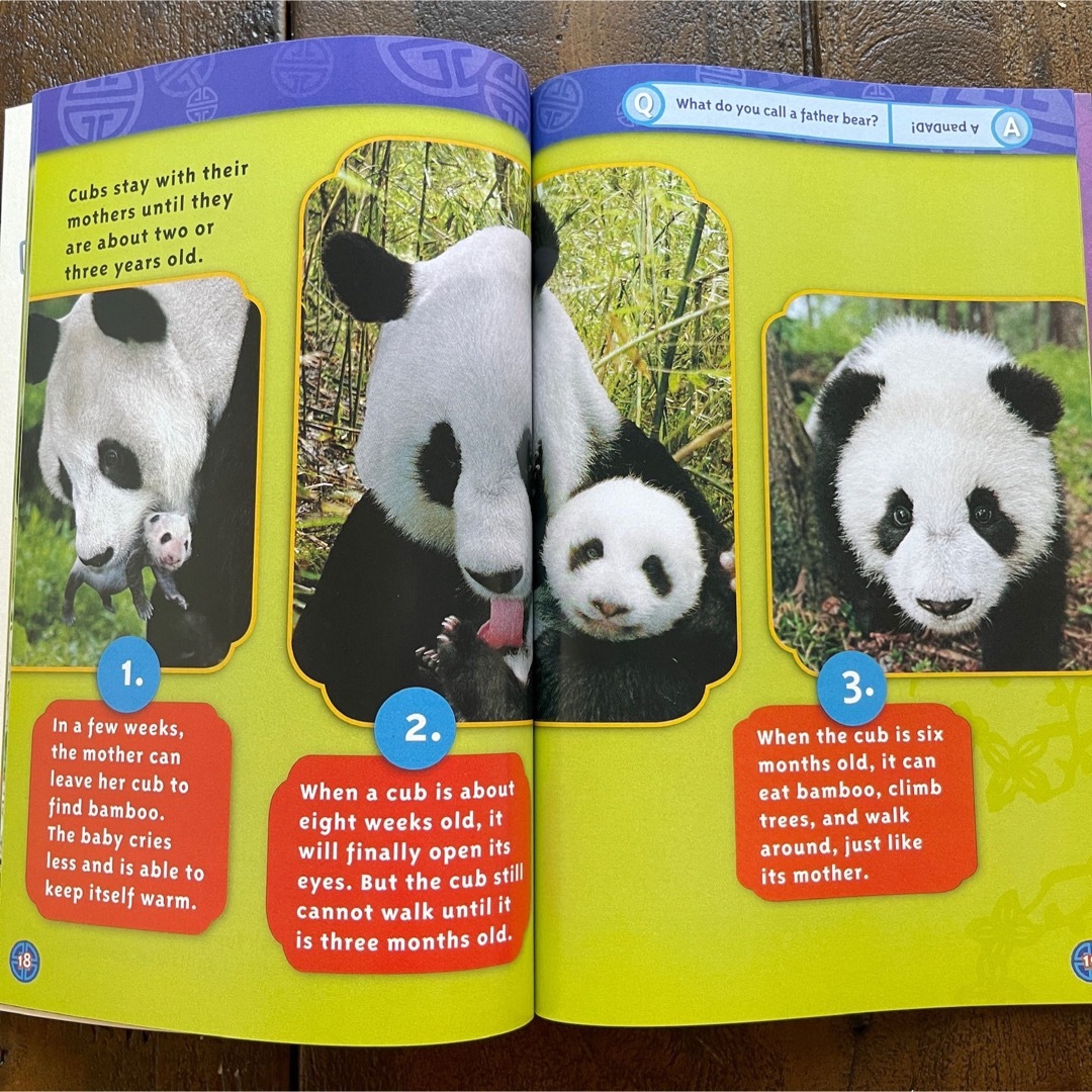 National Kids Geographic 155冊 色のえほん マイヤペン対応 National