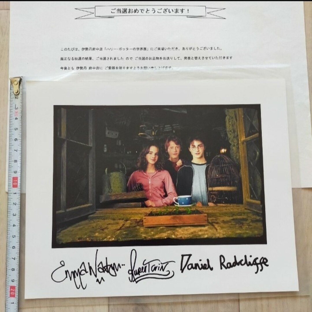 ハリーポッター サイン入りポートレート 【公式通販】