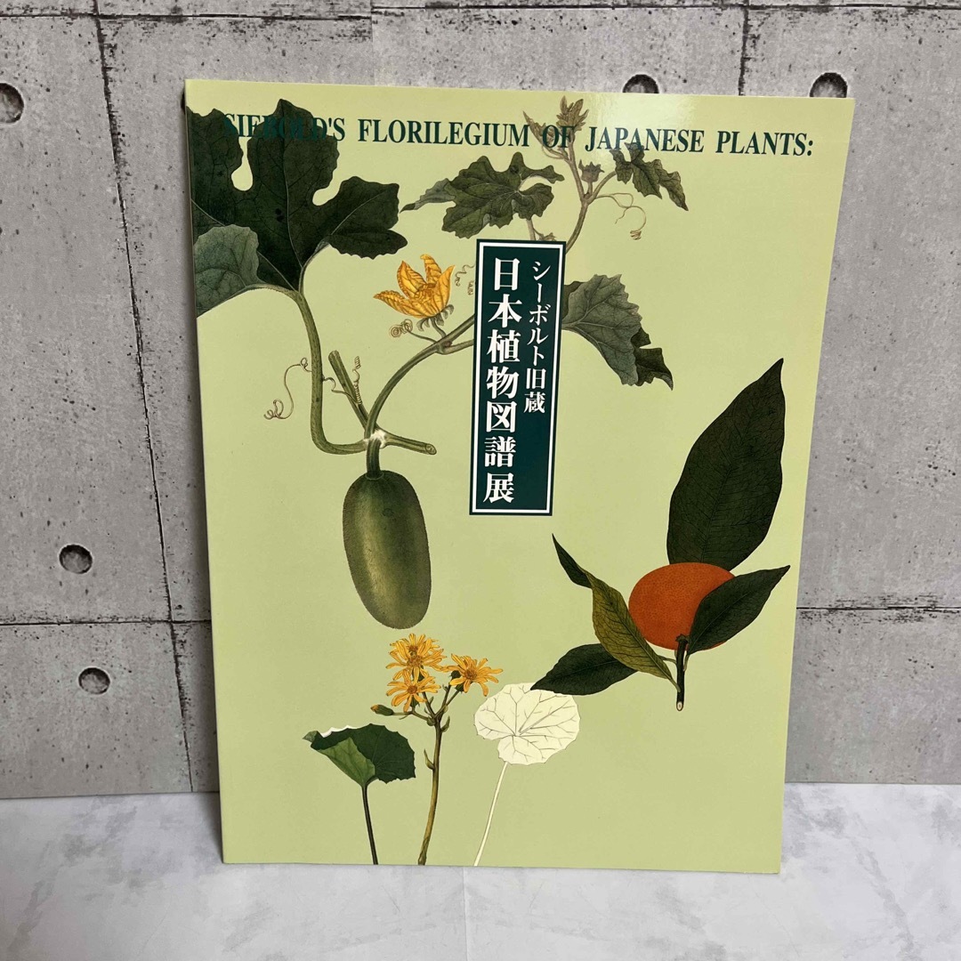 シーボルト旧蔵 日本植物図譜展 本の通販 by 738 shop｜ラクマ