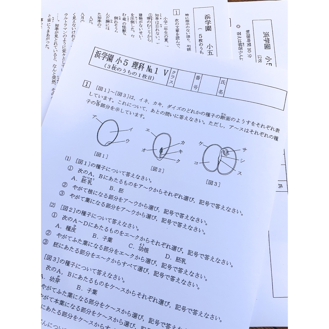 浜学園 小5 マスター Sクラス 復習テスト 3教科 国語 算数 理科 浜学園