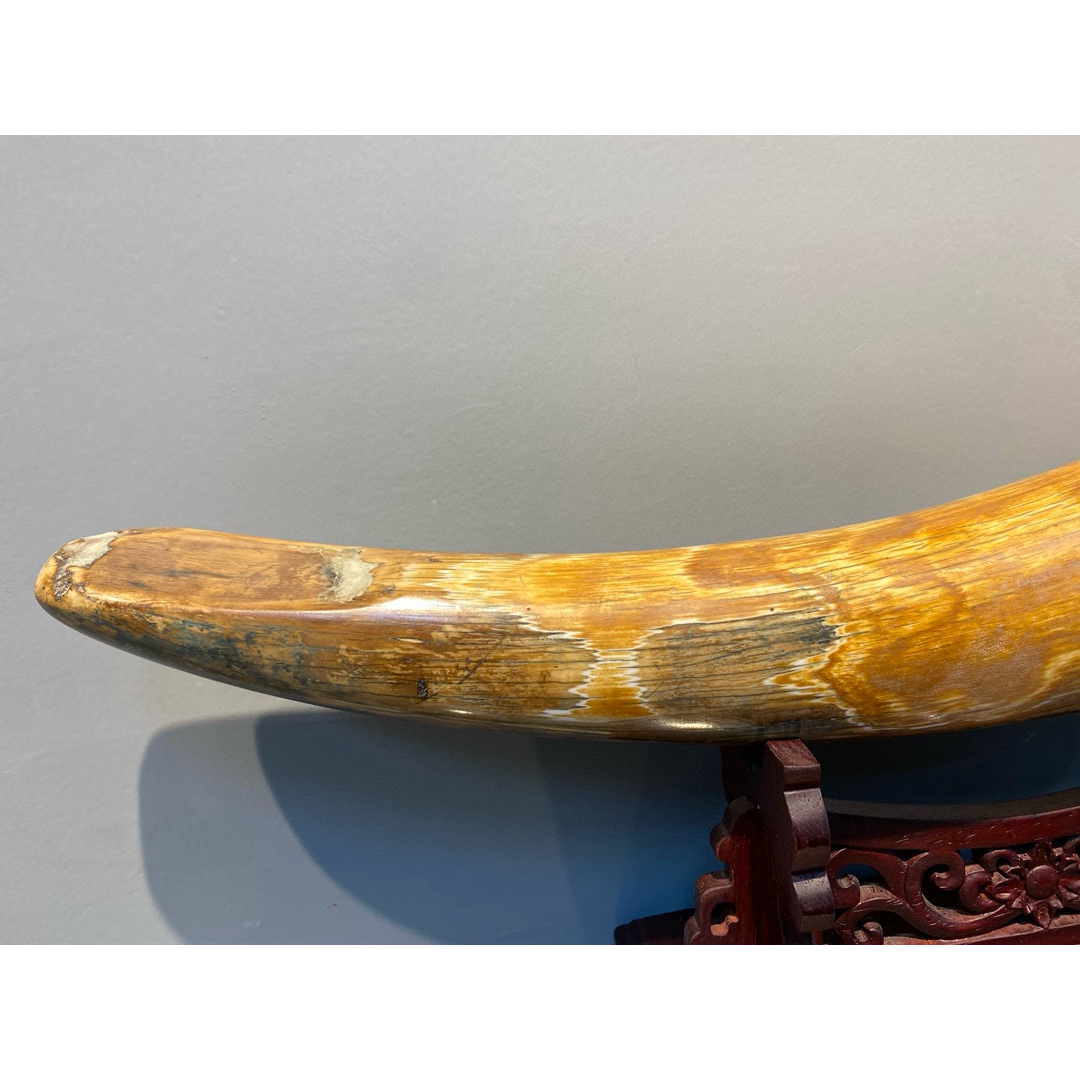 天然マンモス牙美しい手作り彫刻 1マンモス牙·原皮素 置物の通販 by