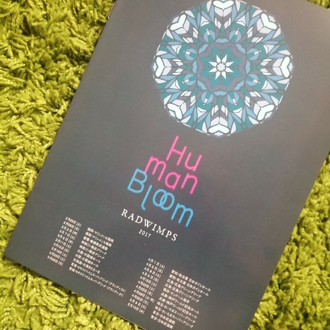 RADWIMPS 2017 LIVE ライブ 冊子 グッズ掲載 情報誌の通販 by くるり's