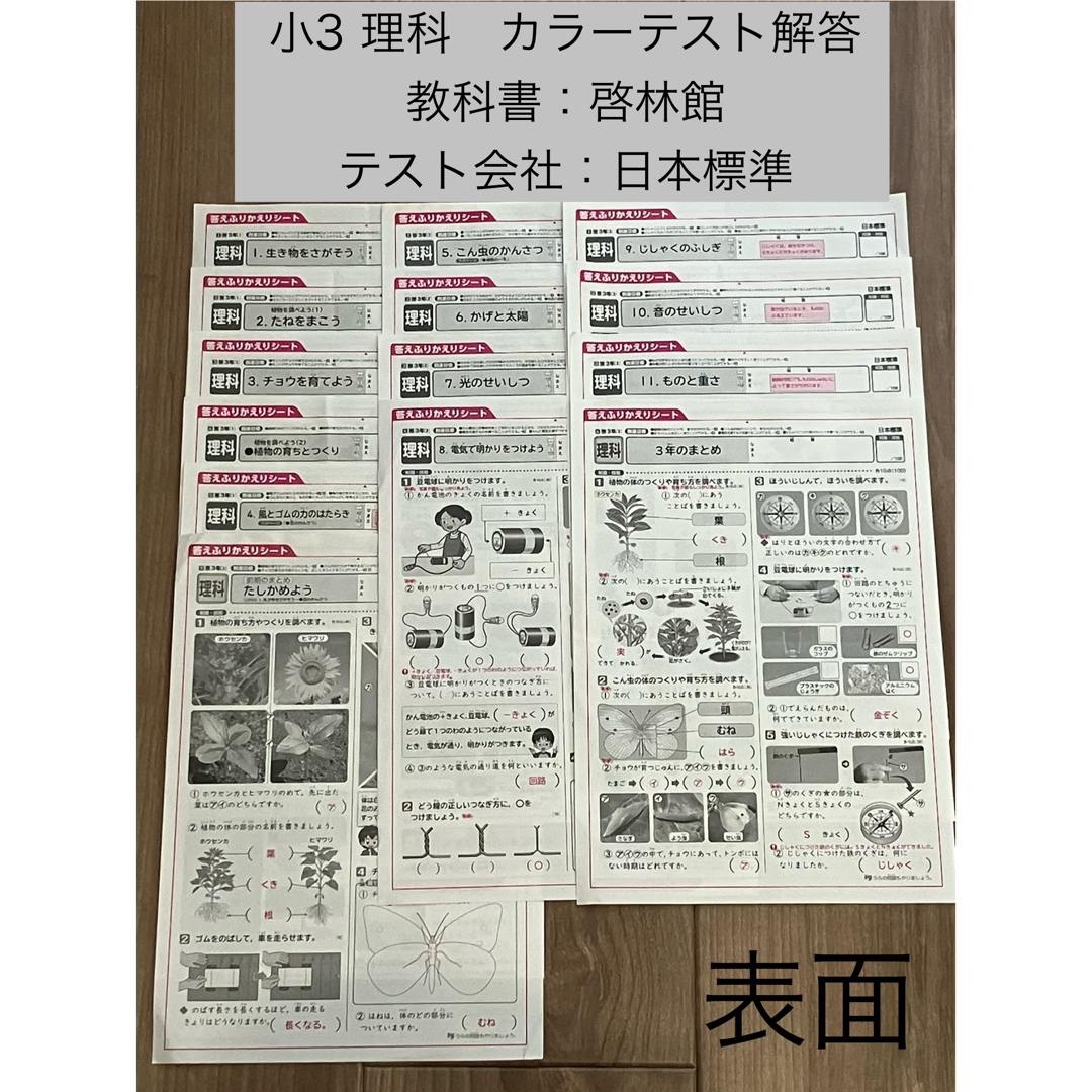 小3 理科 カラーテスト 答えふりかえりシート 1年分の通販 by だ