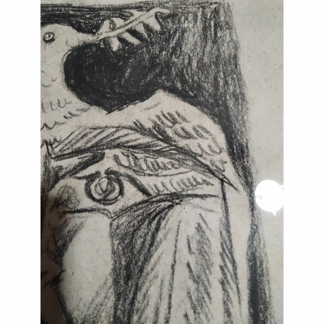 ピカソ人の顔と鳩 リトグラフの原画の一枚肉筆鉛筆木炭19✕14センチの