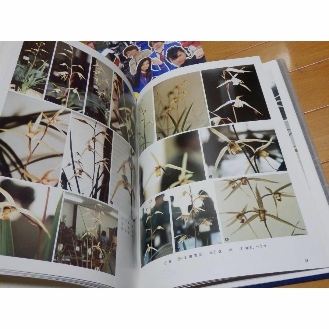 ❤️大量❤️写真集☆パンフ☆画集☆アニメ☆邦画☆洋画☆野田秀樹