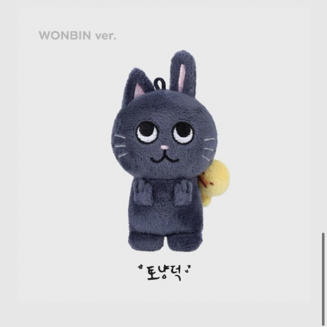 RIIZE ライズ ウォンビン 10cm ドールキーリング ぬいぐるみ 公式の