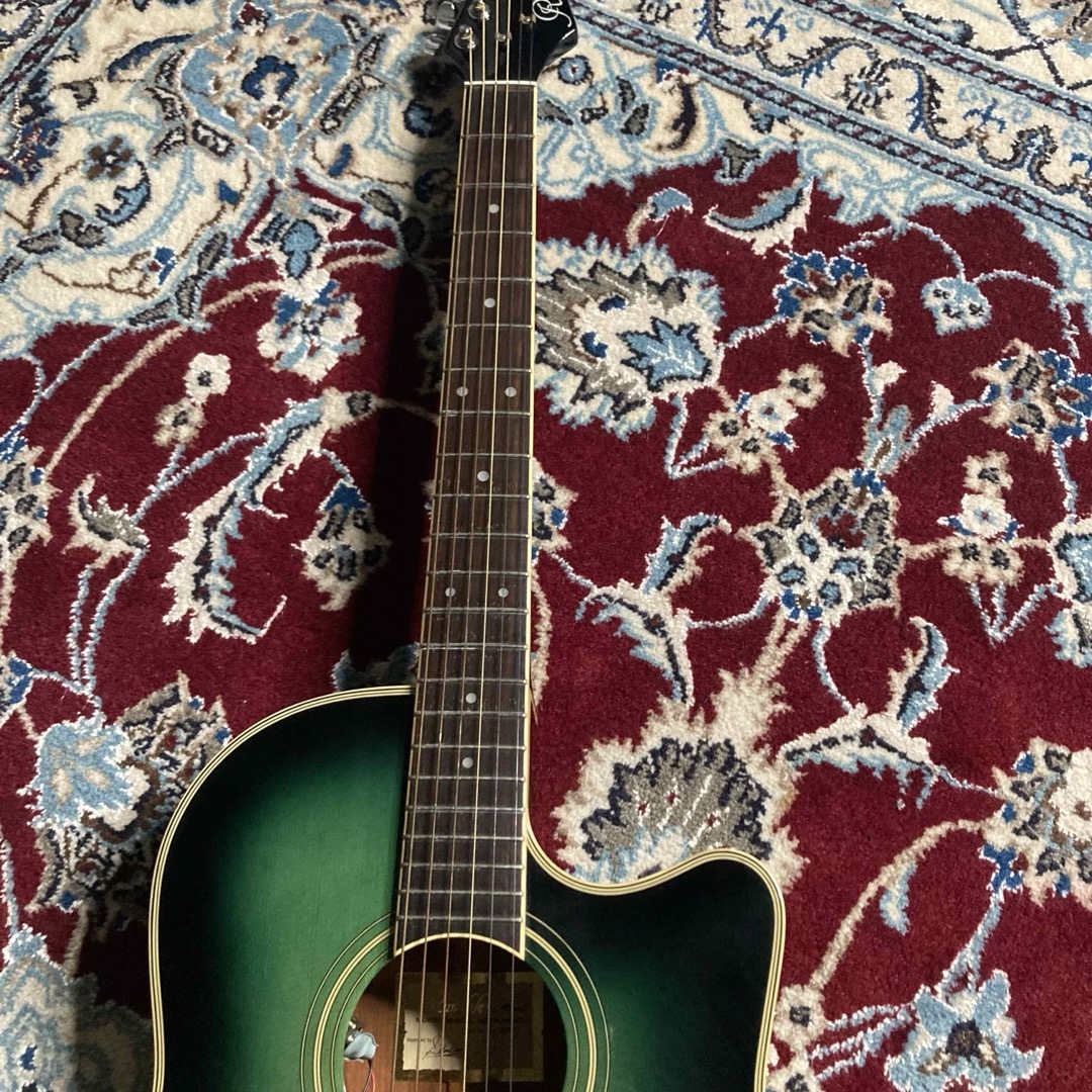 MORRIS - レア Morris Rumbler MR1エレアコ グリーン アコギもOK！の