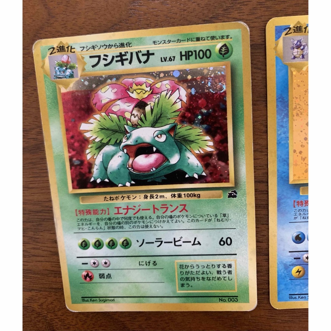 ポケモン - イントロパックセット(フシギバナ&カメックス) ポケモン