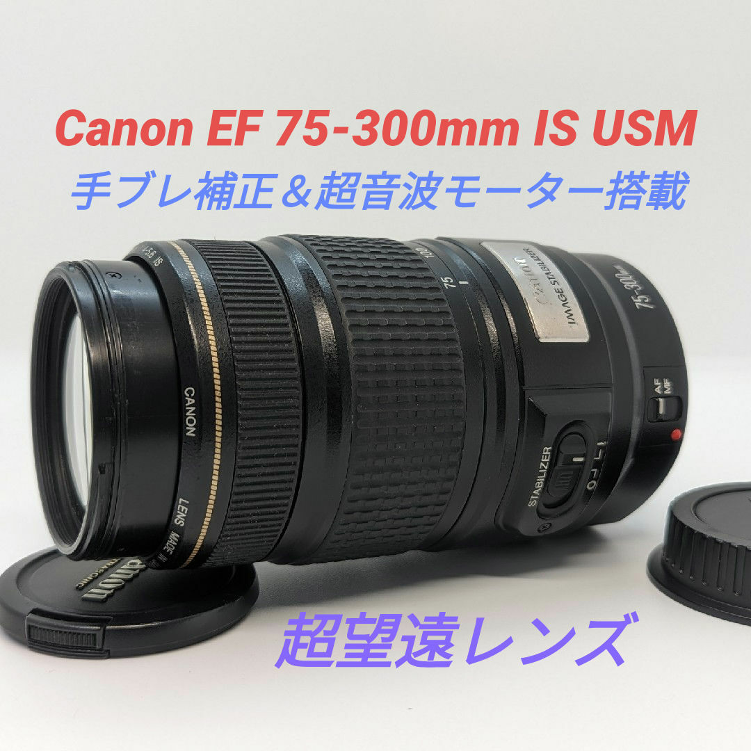 キヤノン☆手ブレ補正付 超望遠レンズ EF 75-300mm IS USM 【公式通販】