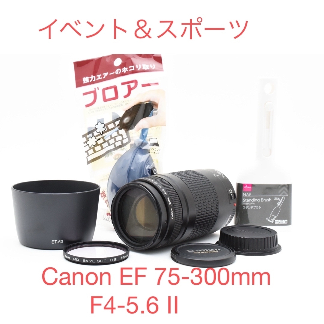 フード付き/望遠レンズ Canon EF 75-300mm F4-5.6 Ⅱ