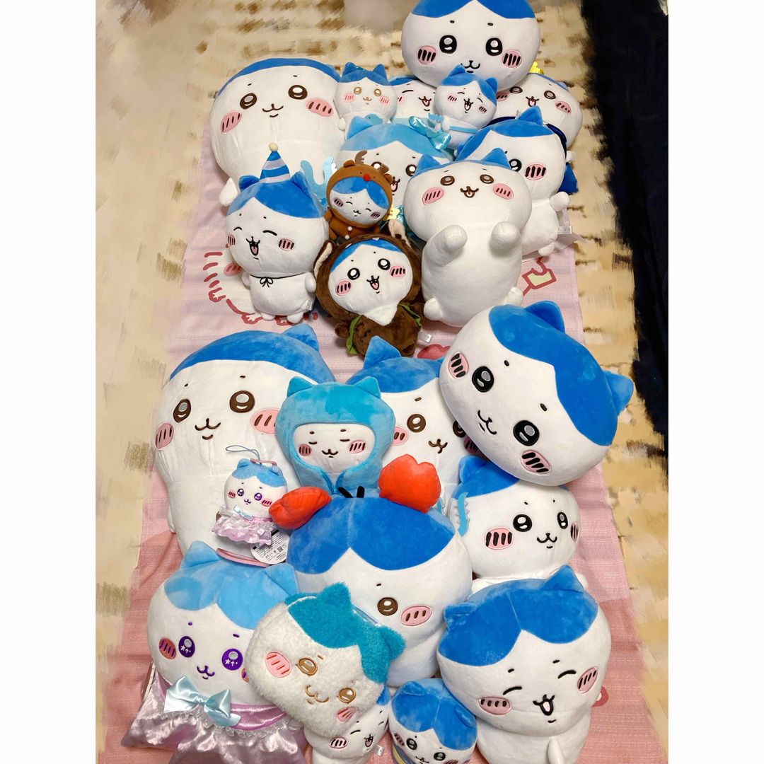 河合塾】『私大医進化学演習① 古川千晶先生 第1講授業ノート』 +α