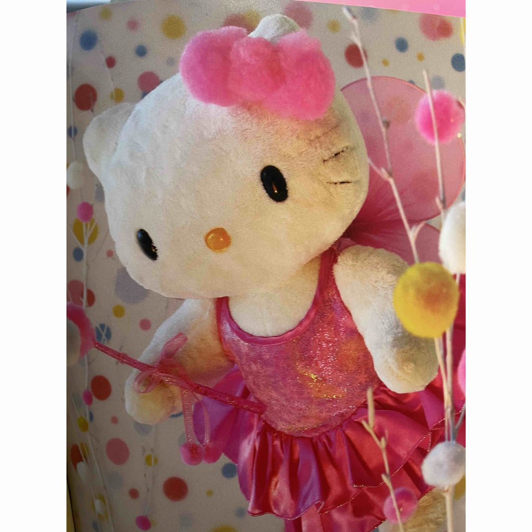 Hello Kitty through the seasons キティ写真集 Hello Kitty through