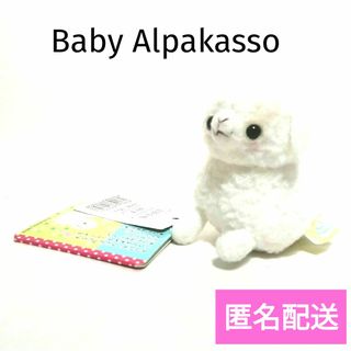 ぬいぐるみ ベイビーアルパカッソのフリマアイテム一覧