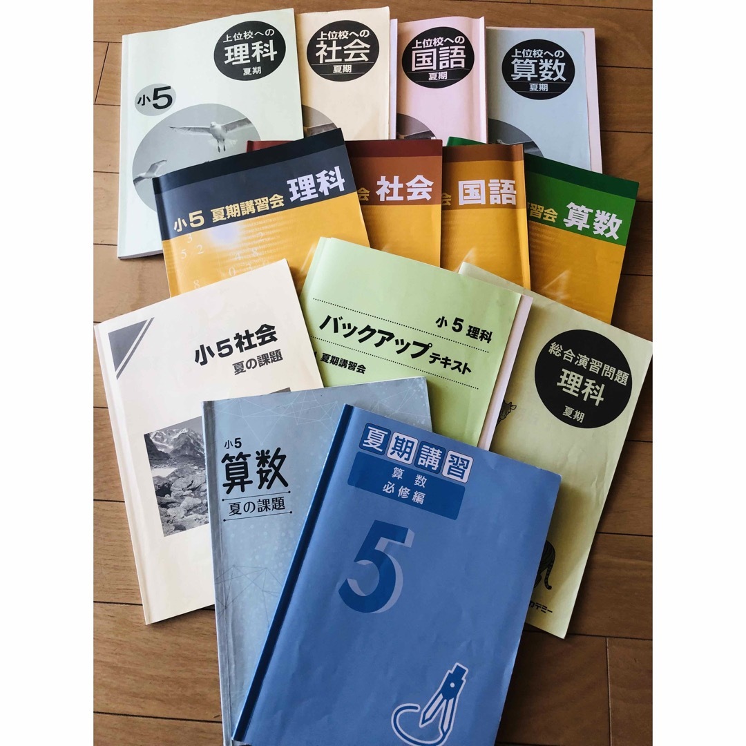 早稲田アカデミー☆小5 夏期講習会テキスト 国語 理科 社会
