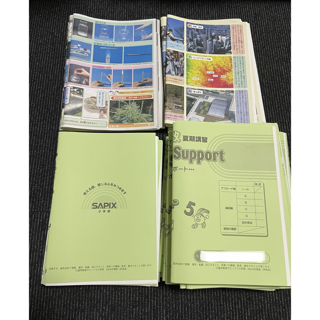 2024年度】サピックス 5年 夏期講習 算数 国語 理科 社会