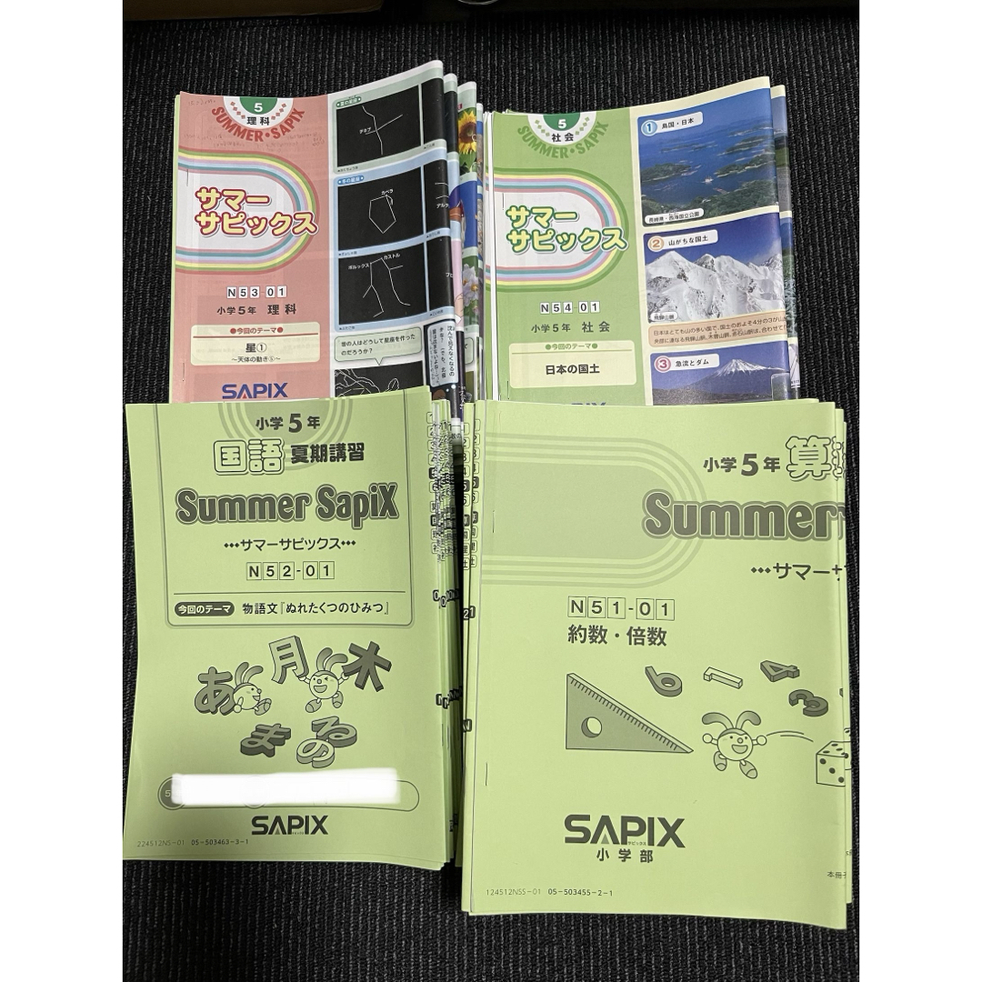 2024年度】サピックス 5年 夏期講習 算数 国語 理科 社会