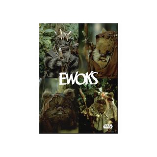 IDEE - 山口一郎 アートポスター A2サイズ owl フクロウの通販 by