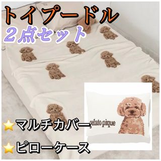 gelato pique - ジェラート ピケ ツインキャット ジャガード