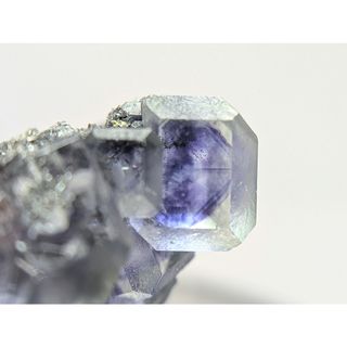 単勝馬券 第44回 有馬記念 グラスワンダーの通販 by たいそん's shop