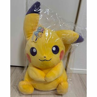 ポケモン - ポンチョを着たピカチュウ ぬいぐるみ メガ進化4体セットの