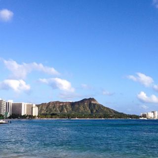 ベトナム ハノイ REX HOTEL レックスホテル 陶器皿 6枚セットの通販