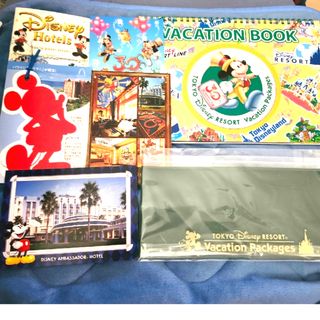 Disney - ✨特価【✨超レア✨未使用】ディズニーキャスト トレーナー