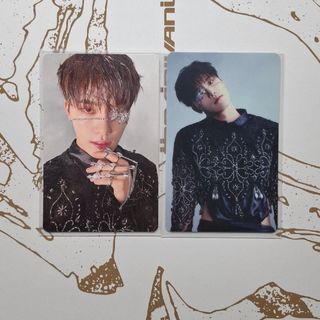 SEVENTEEN - 新品未開封 初回限定C盤 舞い落ちる花びら フォトカード