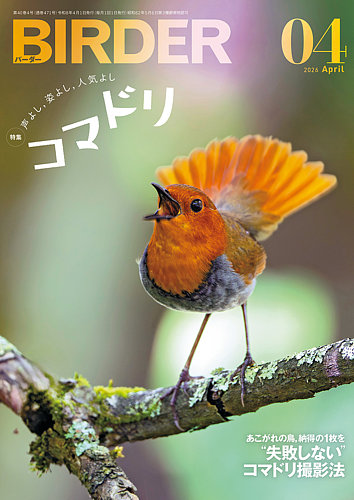 BIRDER（バーダー）のバックナンバー | 雑誌/電子書籍/定期購読の予約