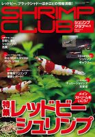 SHRIMP CLUB（シュリンプクラブ）のバックナンバー | 雑誌/定期購読の