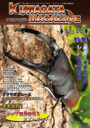 くわがたマガジン 44号 (発売日2008年11月30日) | 雑誌/定期購読の予約