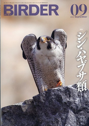 BIRDER（バーダー） 2023年9月号 (発売日2023年08月16日) | 雑誌/電子