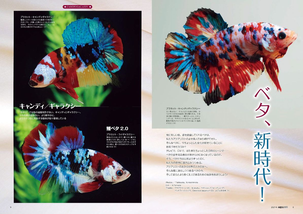 アクアライフの最新号【3 (発売日2026年02月10日)】| 雑誌/電子書籍