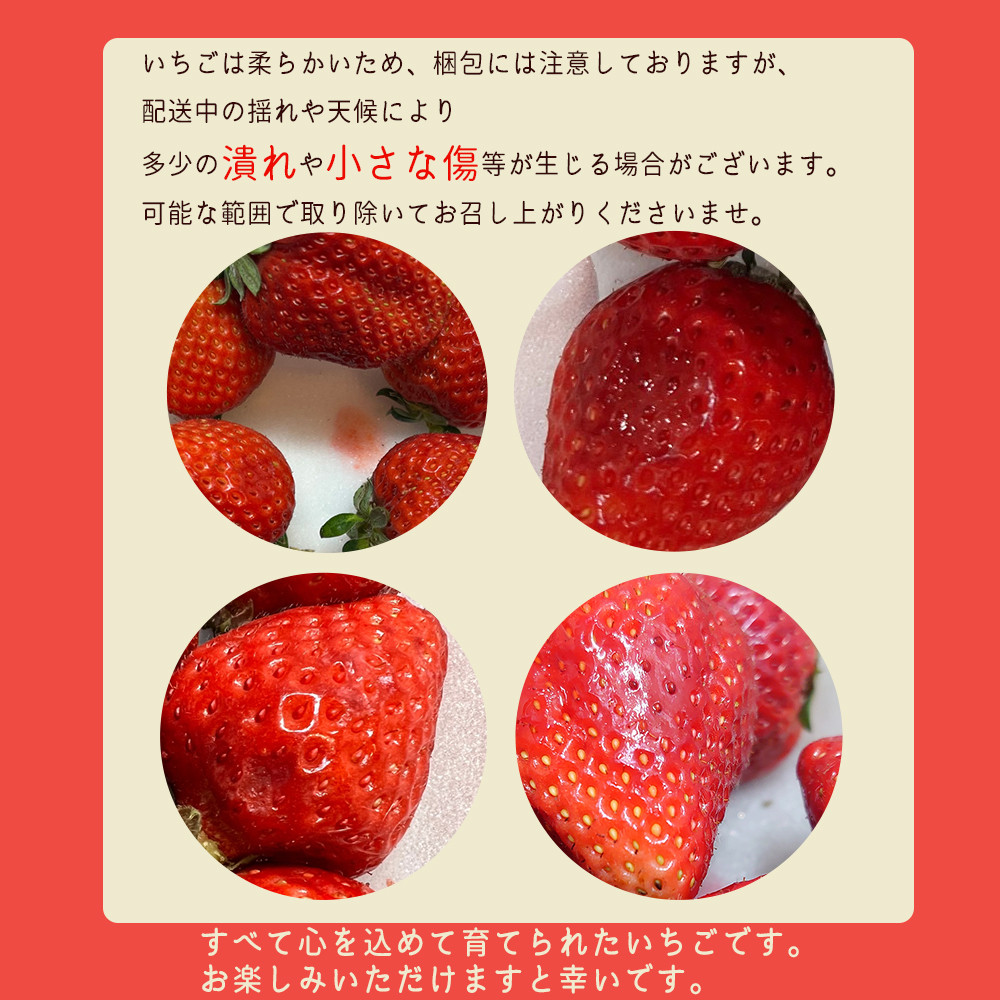 福岡県産 あまおう 約270g × 4パック ふるさと納税 いちご イチゴ 苺