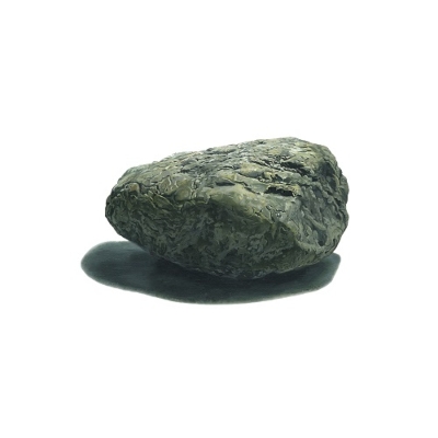 石のような自由 (アナログレコード) : 家主 | HMV&BOOKS online - HRLP345