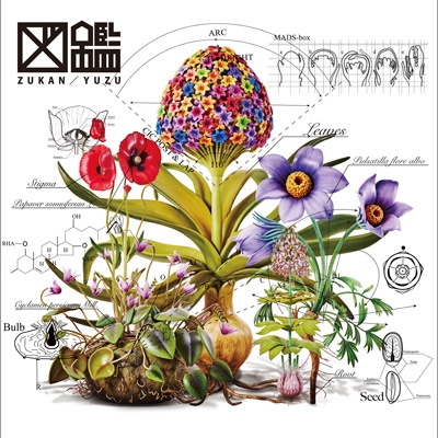 図鑑 : ゆず | HMV&BOOKS online - TFCC-81091