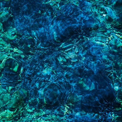 Luminescent Creatures : 青葉市子 | HMV&BOOKS online - HERMCD-3