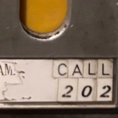 202 【2025 レコードの日 限定盤】(10インチアナログレコード