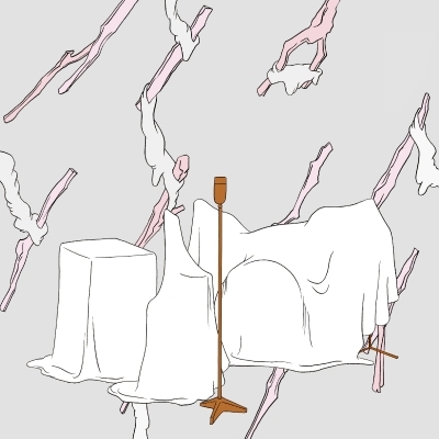 アナザー・ストーリー (2枚組アナログレコード) : スカート