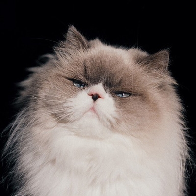 i*9様 カネコアヤノ 朝になって夢からさめて プロモCD-R カネコアヤノ