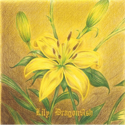 Lily 【初回限定盤】 : Dragon Ash | HMV&BOOKS online - VICL-36855