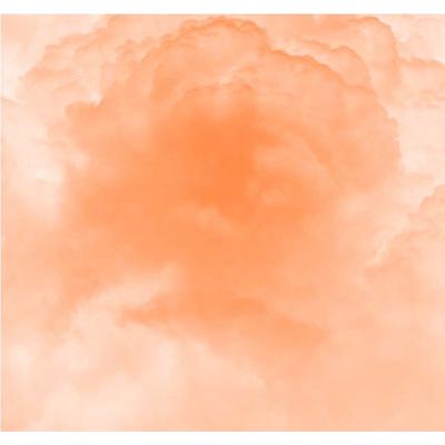 100年後 : OGRE YOU ASSHOLE | HMV&BOOKS online - VPCC-81747