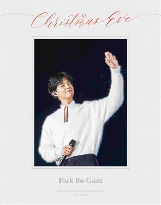 Park Bo Gum Fanmeeting in Japan ＜Christmas eve＞ 2017.12.24 通常