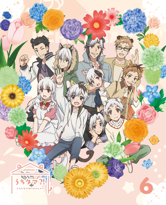 うちタマ?! ～うちのタマ知りませんか？～6【完全生産限定版】 : うち