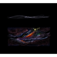 踊ってばかりの国、最新アルバム『moana』が待望のアナログ化決定！|中古