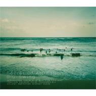 Secret Of Attraction : BLU-SWING | HMV&BOOKS online - HEIG0010