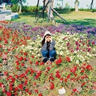 光のなかに立っていてね : 銀杏BOYZ | HMV&BOOKS online - SKOOL026