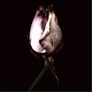 anfang : 神はサイコロを振らない | HMV&BOOKS online - ALML-3156