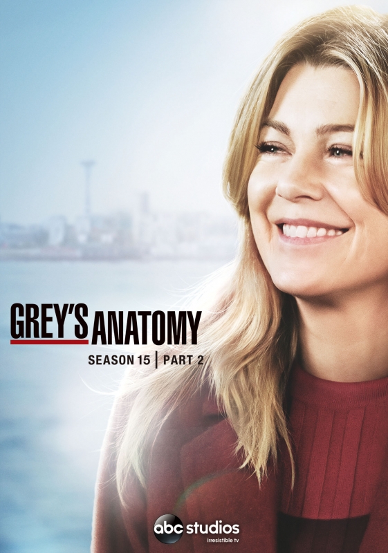 グレイズ・アナトミー シーズン15 DVD コレクターズ BOX Part2