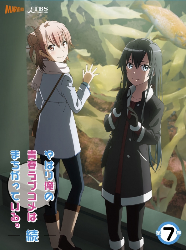 俺ガイル(続)DVD.小説全巻セット、1期初回特典付き Amazon.co.jp: やはり俺の青春ラブコメはまちがっている。続 第1巻